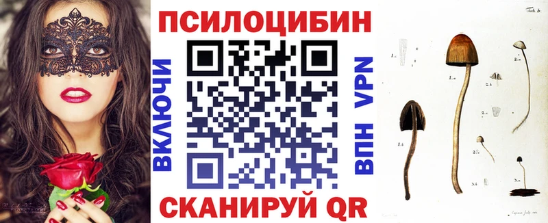 цены наркотик  Южно-Сухокумск  Псилоцибиновые грибы мицелий 
